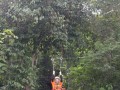 Tn DSC 4269